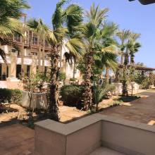 Ground Floor 1 Bedroom Apartment For Sale In Ancient Sand El Gouna